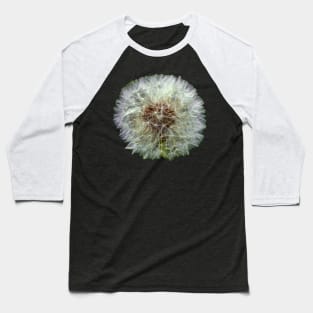 Dandelion Clock Baseball T-Shirt